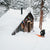 Backcountry Hut Trip - Topo Designs